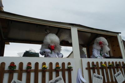 image253.jpg