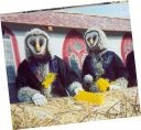 Bild24.jpg