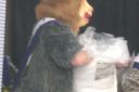 CIMG3475.jpg