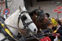 DSC_9586.jpg