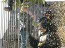 Fasnacht_2010_022.jpg