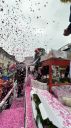 2024_Fasnacht019.jpg